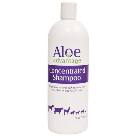 Aloe Advantage Concentrated Shampoo - 32 Oz