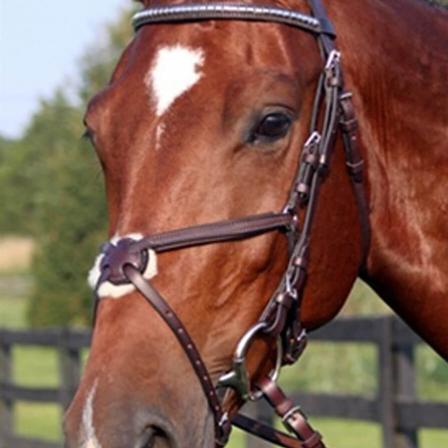 Nunn Finer Figure 8 Bridle