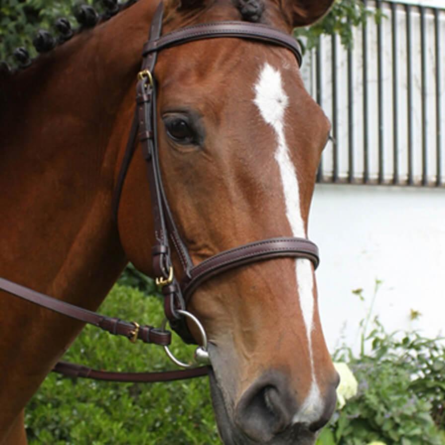 Nunn Finer Event Bridle