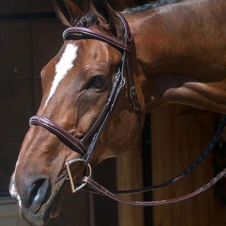 Nunn Finer Verona Bridle