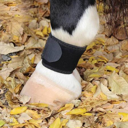 VenTECH Pastern Wrap