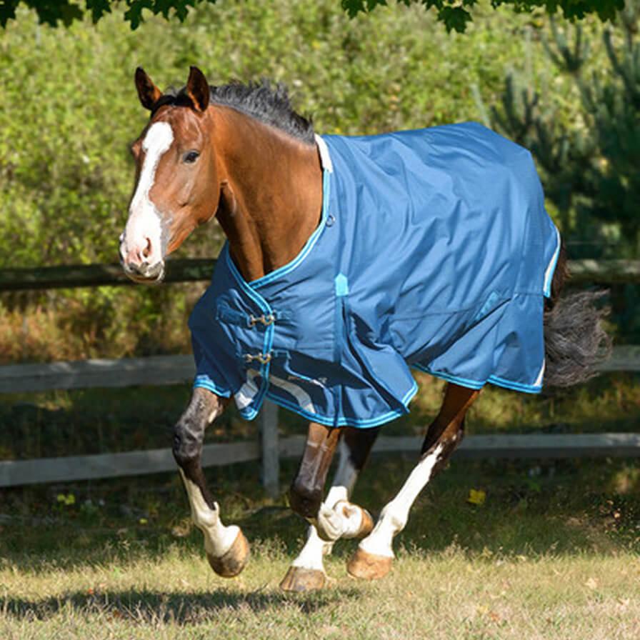 Shires Highlander Lite