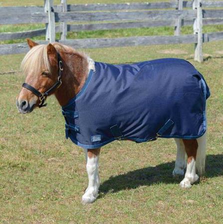 Shires Miniature Summer Highlander NAVY/TURQUOISE