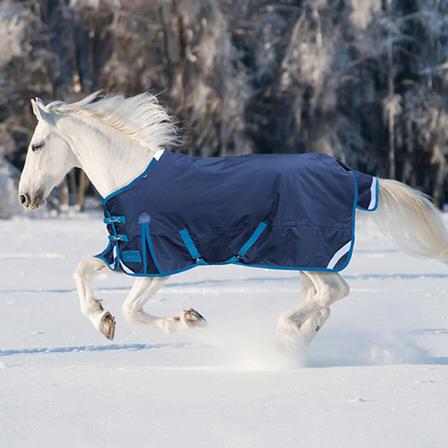 Shires StormBreaker Plus 220G NAVY/TURQUOISE