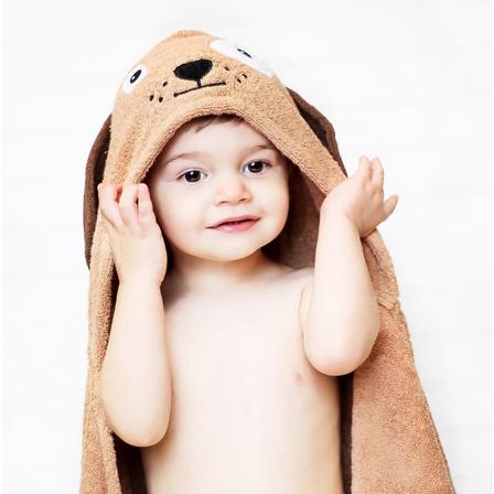 Dog Hooded Towel