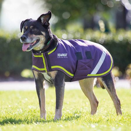 Shires Waterproof Dog Coat - Small Sizes