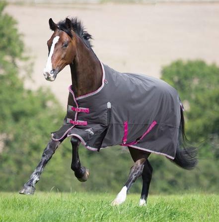 Shires Highlander Original Turnout Blanket 200G