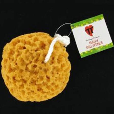 Tail Tamer Sponge On A Rope