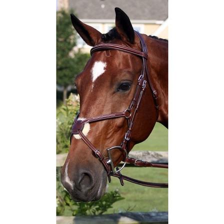 Milano Figure 8 Bridle