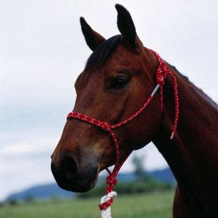 Double Diamond #100 Series Rope Halter - Horse