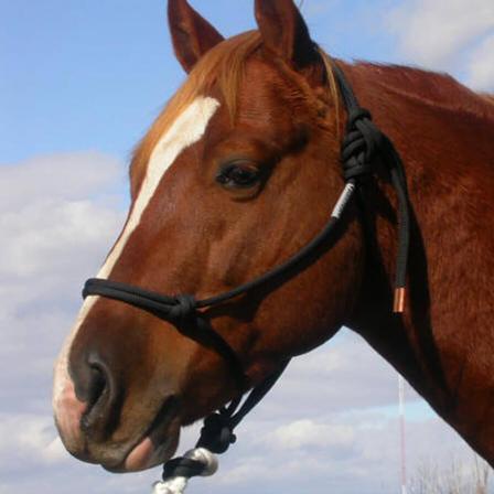 Double Diamond 150 Series Halter - Horse Size