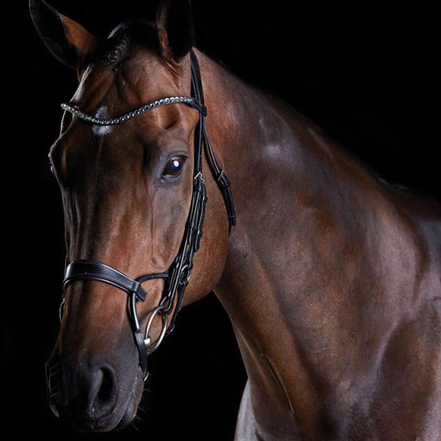 Collegiate Comfitec Crystal Bridle