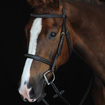 Collegiate Mono Crown Fancy Stitched Raised Cavesson Bridle