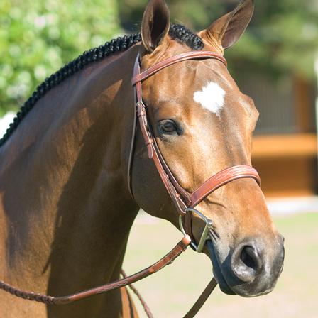 Pessoa Fancy Raised Wide Noseband Show Bridle