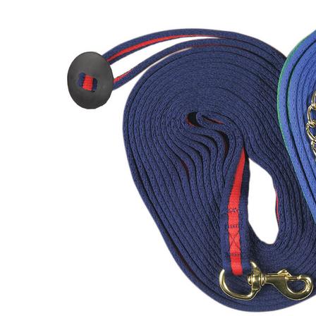 Centaur Padded Lunge Line with Donut