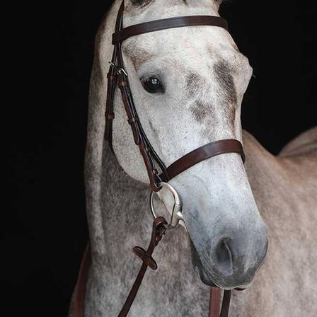 Collegiate Hunt Cavesson Bridle BROWN