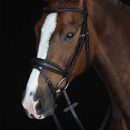 Collegiate Mono Crown Raised Padded Bridle