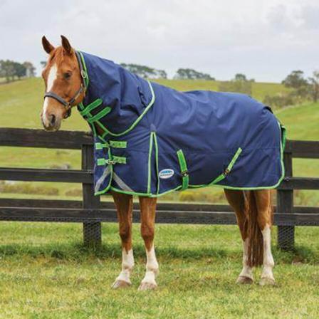 Weatherbeeta Comfitec Plus Dynamic Detach-A-Neck Heavy Weight Turnout Blanket
