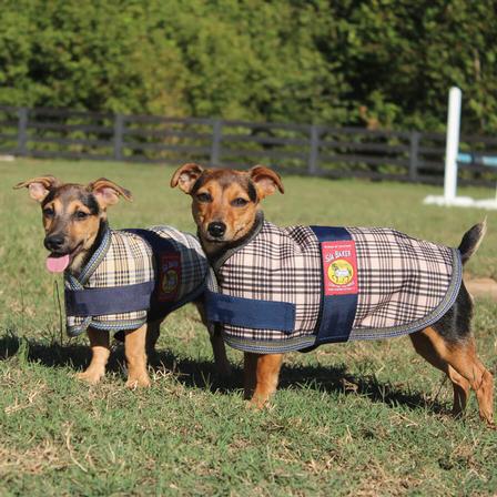 Baker Dog Blanket BAKER_PLAID