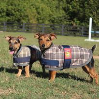 Dog Coats