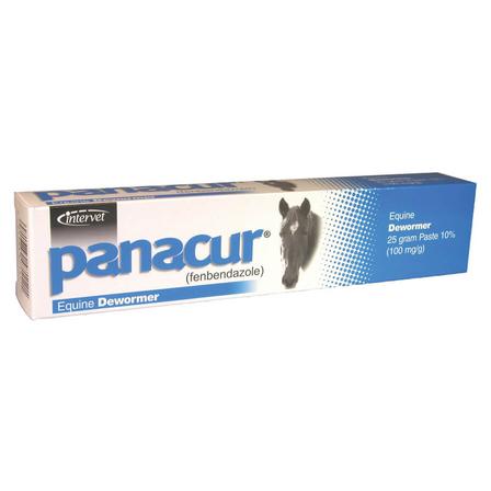 Panacur Paste Equine Dewormer