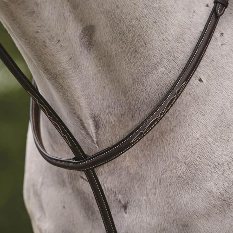 Collegiate Raised Fancy Stitched Standing Martingale