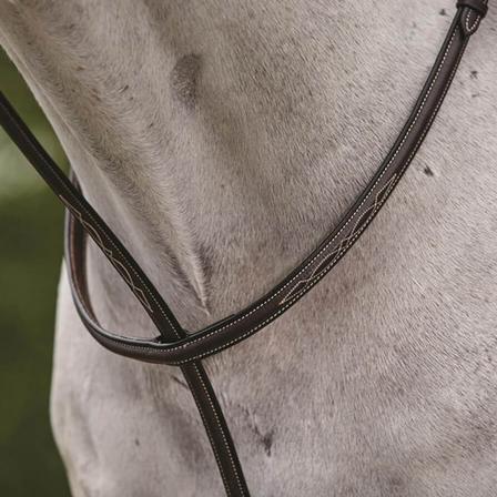 Collegiate Raised Fancy Stitched Standing Martingale