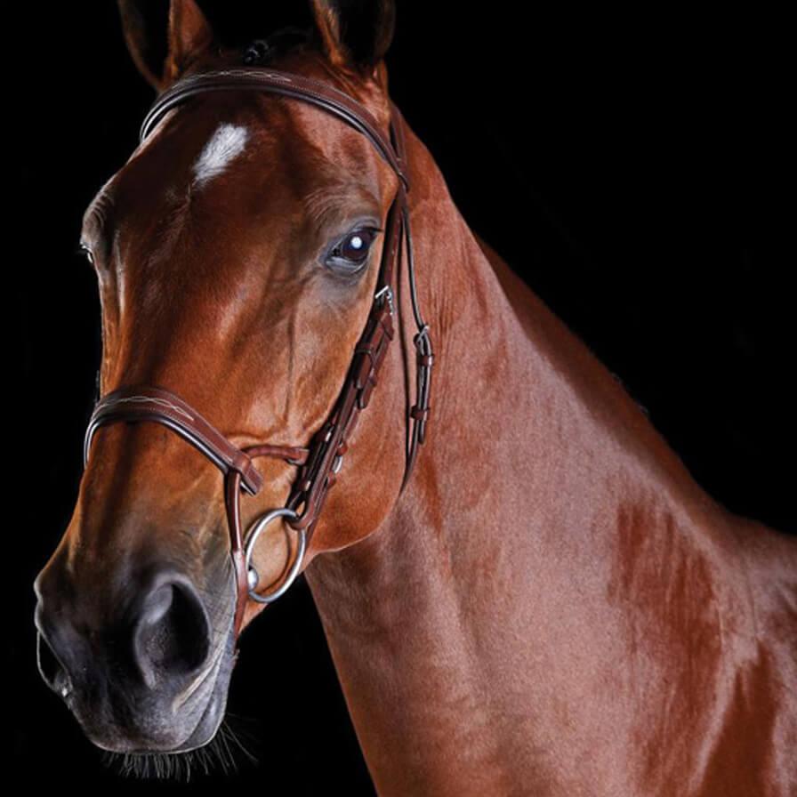 Collegiate Comefitec Fancy Stitched Bridle