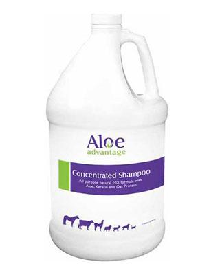 Aloe Advantage Concentrated Shampoo - Gallon