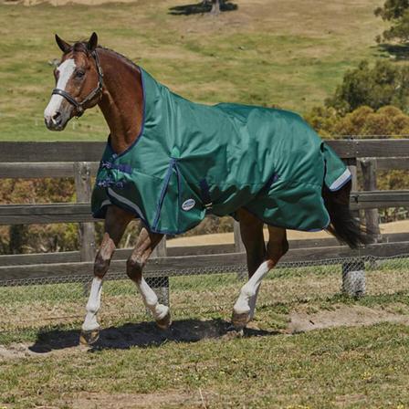 Comfitec Plus Dynamic High Neck Lite Turnout Sheet