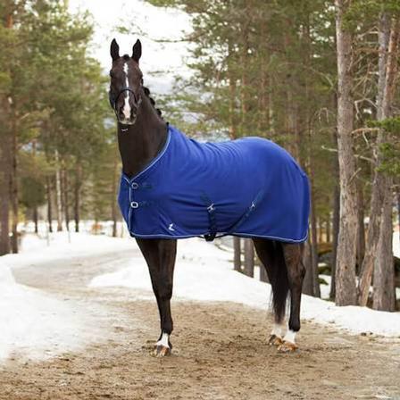 Weatherbeeta Cozi-Dri Standard Neck Stable Blanket