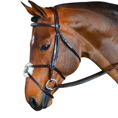 MTL CLASSIC Figure-8 Jumper/Eventing Bridle