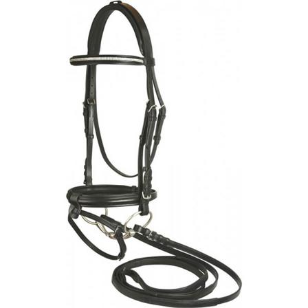 MTL Platinum GEMSTONE Dressage Bridle