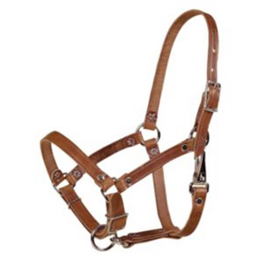 Tory Leather Foal Halter With Rivets