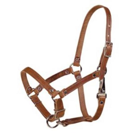 Tory Leather Foal Halter with Rivets