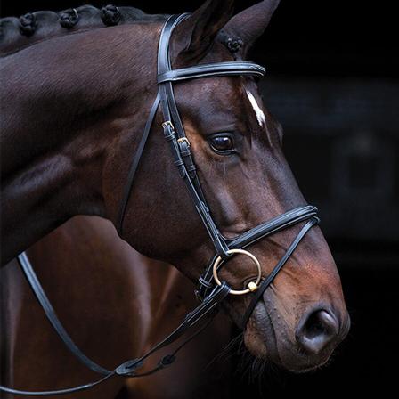 Amigo Deluxe Hunter Bridle