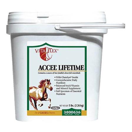  Accel® Lifetime - 5 Lbs