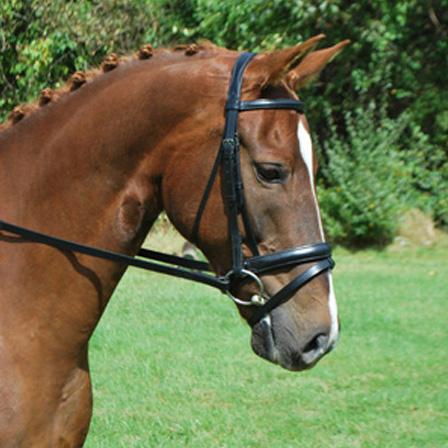 Red Barn Capriole Bridle