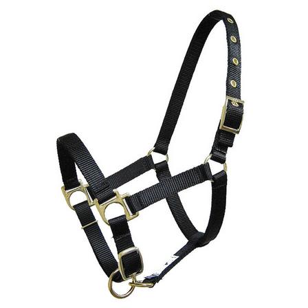 Nylon Mini Halter with Adjustable Nose and Snap