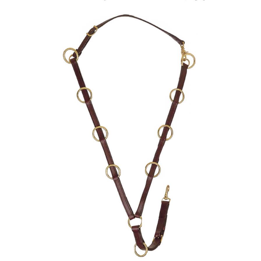 10 Ring Multiple Use Martingale