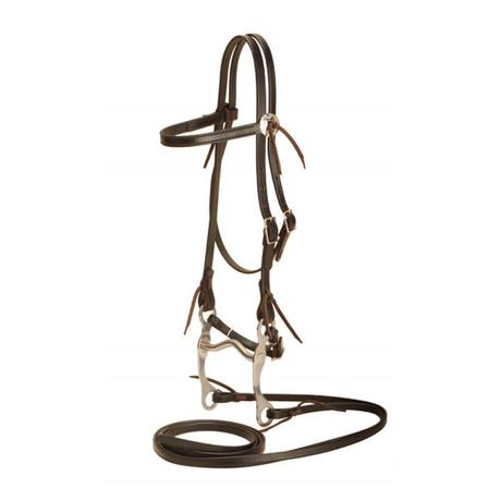 Pony Size Bridle with Bit and Reins