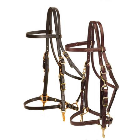 Combination Halter/Bridle with Brass Hardware