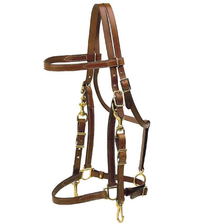 Combination Halter/Bridle with Brass Hardware