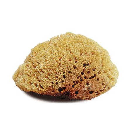 Natural Body Sponge - Large