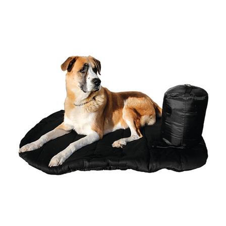 Back On Track Therapeutic Dog Bed - Medium