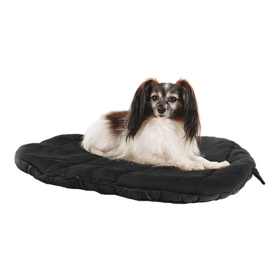  Back On Track Therapeutic Dog Bed - Small