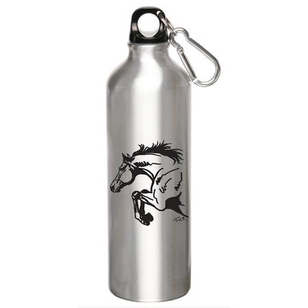 Silver Aluminum Sports Bottle