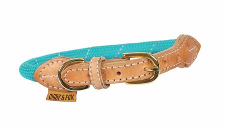 Digby & Fox Reflective Dog Collar TEAL