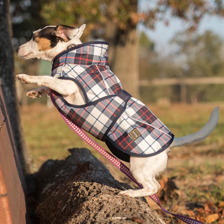 FITS Dog Coat