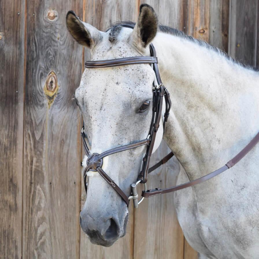 Black Oak Cedar Figure 8 Bridle With Rubber Reins